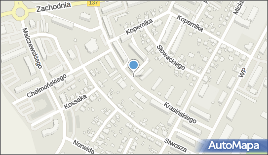 GLS - Punkt odbioru, KRASINSKIEGO 7, Miedzyrzecz 66-300