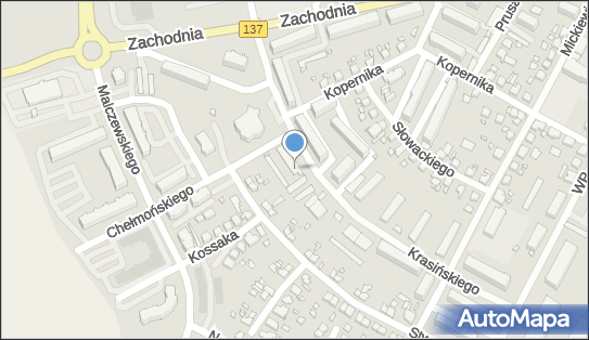 GLS - Punkt odbioru, Ul. Krasinskiego 9 Lok. 5, Miedzyrzecz 66-300