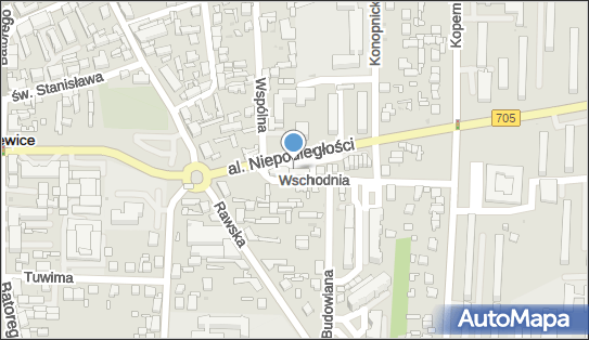 GLS - Punkt odbioru, Al. Niepodległości 6, Skierniewice 96-100