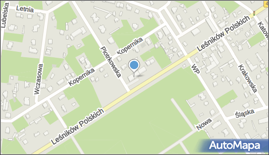 GLS - Punkt odbioru, Ul. Lesnikow Polskich 29, Lask 98-100