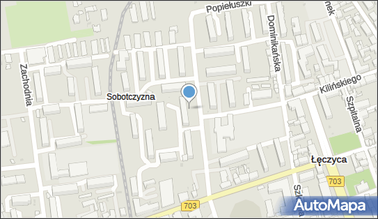 GLS - Punkt odbioru, Ul. Konopnickiej 8, Leczyca 99-100