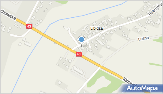 GLS - Punkt odbioru, Ul. Pokrzynskiego 4, Libidza 42-125