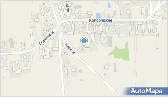 GLS - Punkt odbioru, Kaliska 6, GODZIESZE MALE, Godziesze Wielkie 62-872