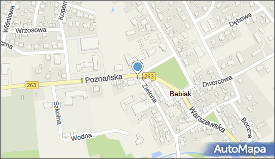 GLS - Punkt odbioru, ZIELONA 1, Babiak 62-620