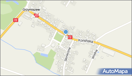 GLS - Punkt odbioru, UL. PLAC WOLNOŚCI 1, Grzymiszew 62-740