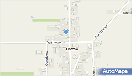 GLS - Punkt odbioru, Radomszczanska 65, Ploszow 97-500