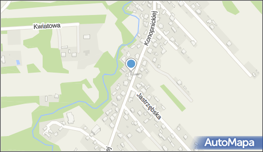 GLS - Punkt odbioru, KONOPNICKIEJ 215A, Kamienica Polska 42-260