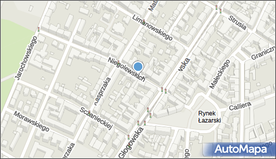 GLS - Punkt odbioru, NIEGOLEWSKICH 11, Poznan 60-234