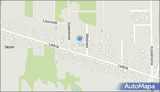 GLS - Punkt odbioru, LESNA 4, Czestochowa 42-200