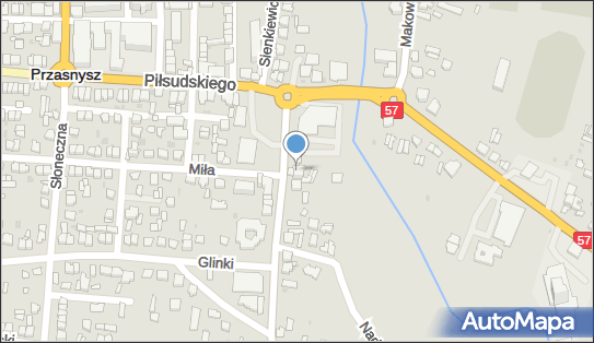 GLS - Punkt odbioru, Leszno 3, Przasnysz 06-300