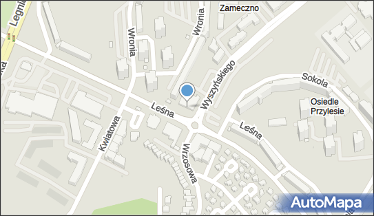 GLS - Punkt odbioru, LESNA 13A/4A, Lubin 59-300