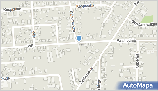 GLS - Punkt odbioru, UL. WOJSKA POLSKIEGO 5A, Luboń 62-030