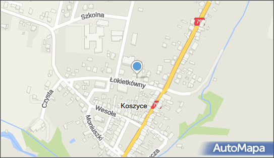 GLS - Punkt odbioru, LOKIETKOWNY 10, Koszyce 32-130