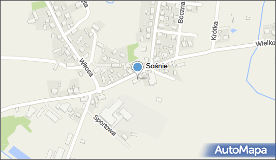 GLS - Punkt odbioru, WIELKOPOLSKA 35, Sosnie 63-435