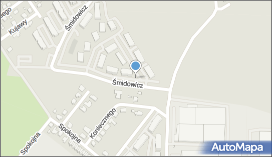 GLS - Punkt odbioru, UL. ŚMIDOWICZ 8, Września 62-300