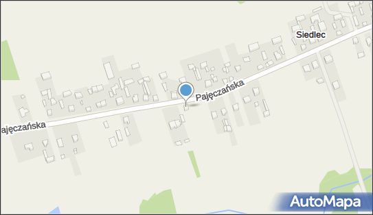 GLS - Punkt odbioru, PAJECZANSKA 103, Pajeczno 98-330