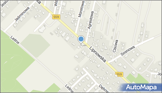 GLS - Punkt odbioru, LIPNOWSKA 79, Plock 09-400