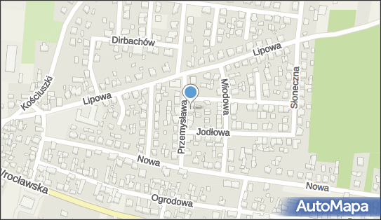 GLS - Punkt odbioru, PRZEMYSLOWA 1, Bralin 63-640