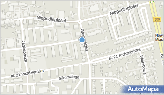 GLS - Punkt odbioru, GRUNWALDZKA 131, Leszno 64-100