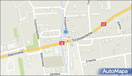 GLS - Punkt odbioru, Ul. Szybownikow 22, Leszno 64-100