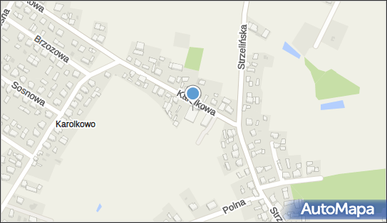 GLS - Punkt odbioru, KAROLKOWA 7A, Wilczyn 62-550