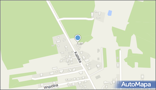 GLS - Punkt odbioru, WOLICA 95G, Godziesze Wielkie 62-872