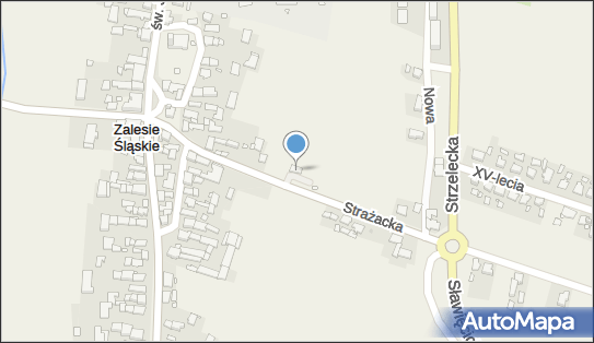 GLS - Punkt odbioru, Strazacka 7, Lesnica 47-150