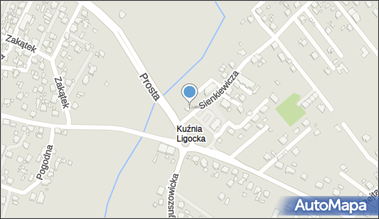 GLS - Punkt odbioru, Ul. Sienkiewicza 42, Rybnik 44-203