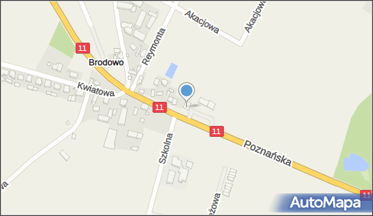 GLS - Punkt odbioru, Poznańska 10, Brodowo 63-000