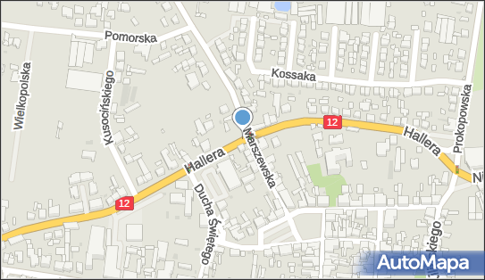 GLS - Punkt odbioru, KAZIMIERZA WLK. 2, Pleszew 63-300