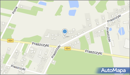 Groszek - Sklep, Praszczyki 54, Praszczyki 42-140, godziny otwarcia