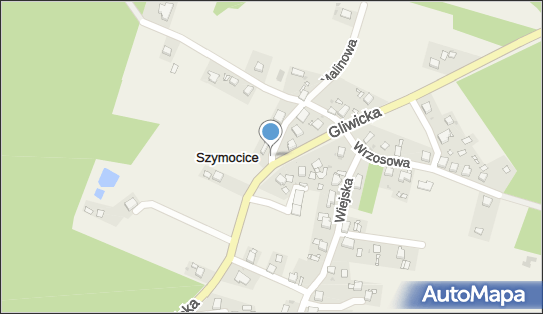 Hydrant, DW 919, Gliwicka, Szymocice - Hydrant