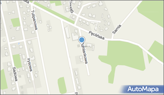 Hydrant, Rumiankowa, Wiązowna 05-462 - Hydrant