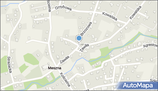 Nadziemny, Brzozowa, Meszna 43-360 - Hydrant