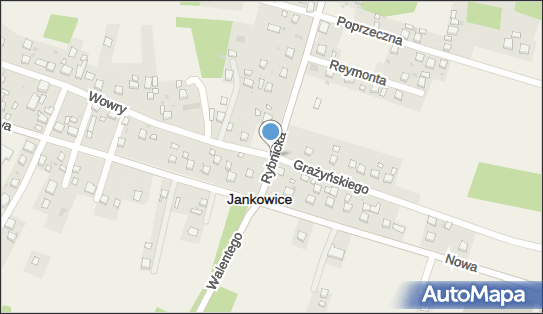 Nadziemny, Wowry Pawła, Jankowice 44-264 - Hydrant