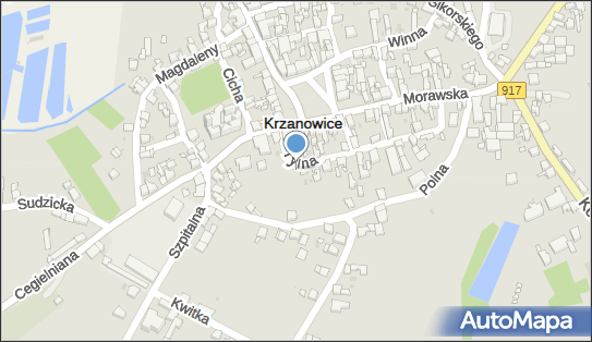 Nadziemny, Tylna, Krzanowice 47-470 - Hydrant