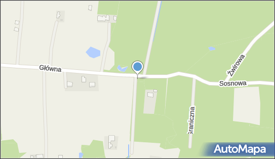 Nadziemny, Polna, Petrykozy 96-321 - Hydrant