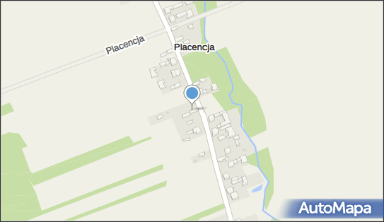 Nadziemny, Placencja 37, Placencja 99-400 - Hydrant