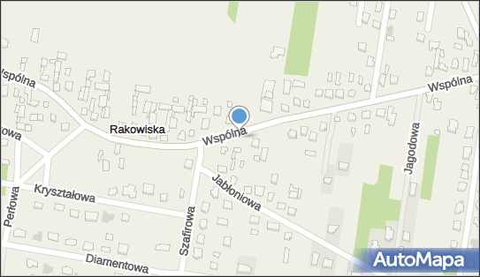 Nadziemny, Wspólna, Rakowiska 21-500 - Hydrant