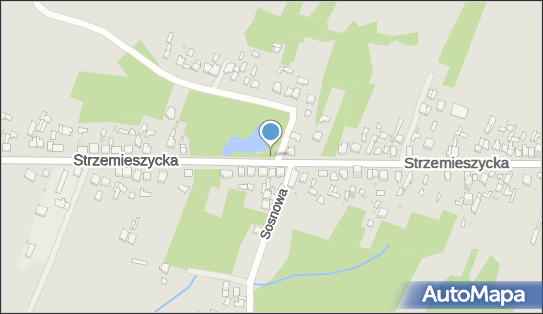 Nadziemny, Strzemieszycka, Dąbrowa Górnicza 42-530 - Hydrant