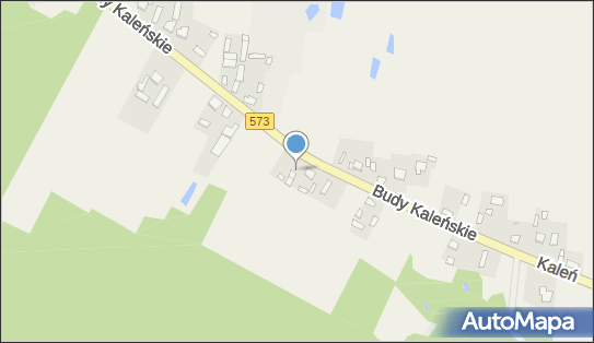 Nadziemny, DW 573, Budy Kaleńskie - Hydrant