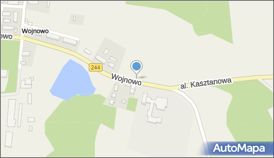 Nadziemny, Wojnowo244, Wojnowo 86-014 - Hydrant