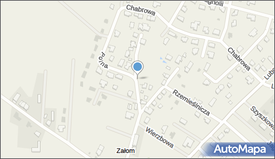 Nadziemny, Polna 7, Załom 70-896 - Hydrant