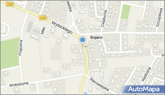 Nadziemny, gen. Józefa Wybickiego 7, Bojano - Hydrant