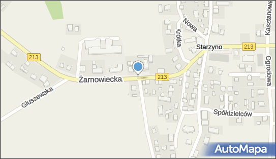 Nadziemny, DW213, Żarnowiecka, Starzyno 84-107 - Hydrant