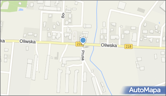 Nadziemny, Prusa, Chwaszczyno 80-209 - Hydrant