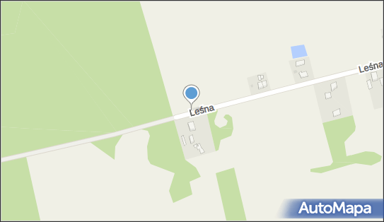 Podziemny, Leśna 6, Wieńkowo 72-015 - Hydrant