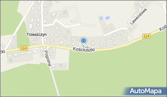 Podziemny, Kościuszki Tadeusza, gen.114 27h, Trzeszczyn 72-004 - Hydrant