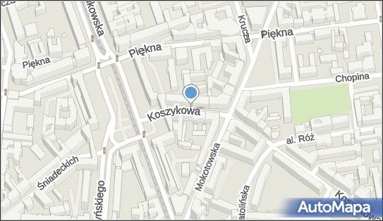 Podziemny, Koszykowa 28, Warszawa 00-555 - Hydrant