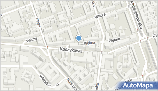 Podziemny, Piękna, Warszawa 00-672 - Hydrant